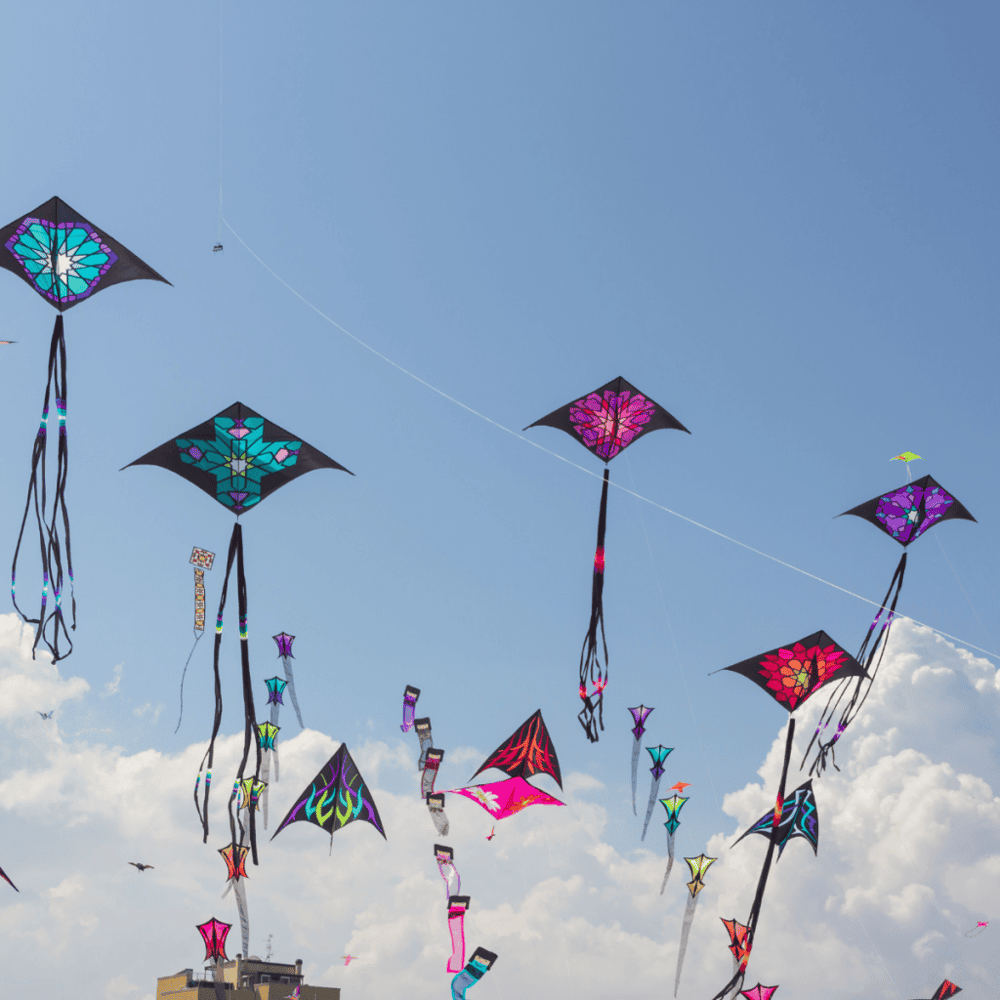 Festivals and Events