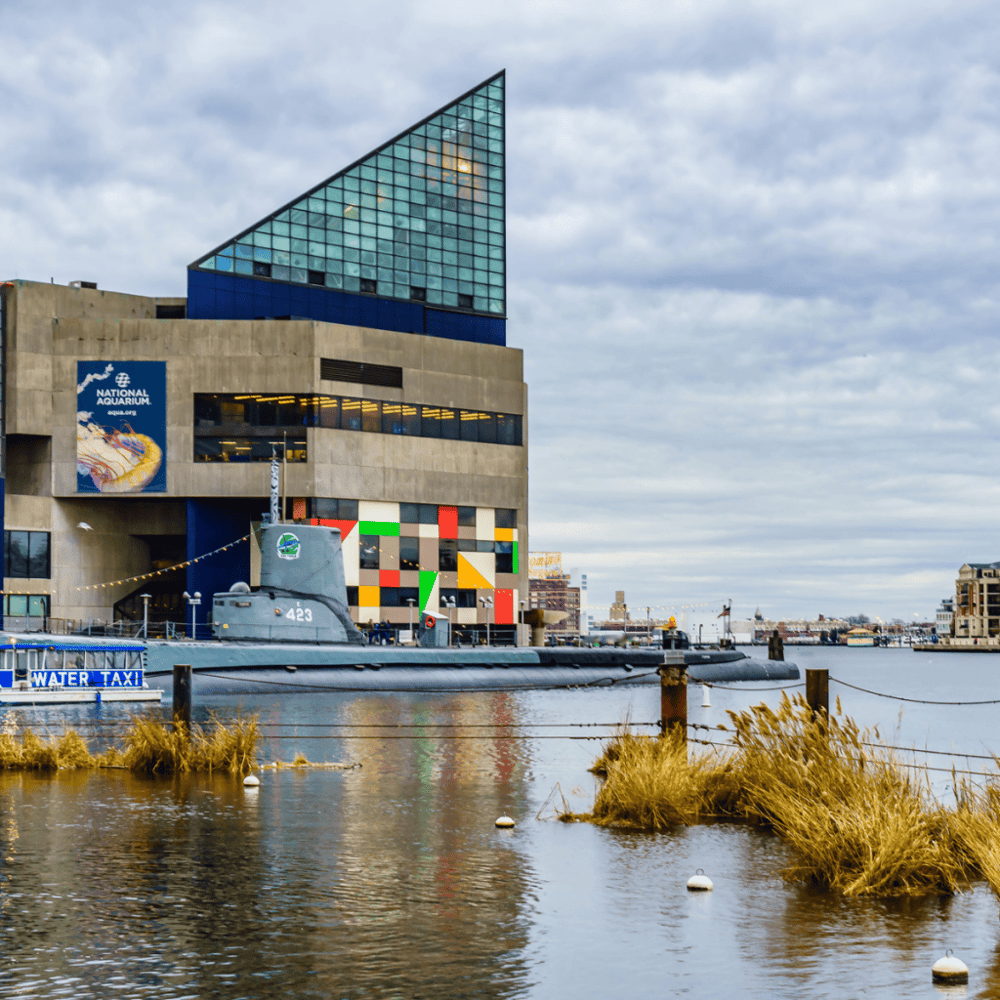 National Aquarium