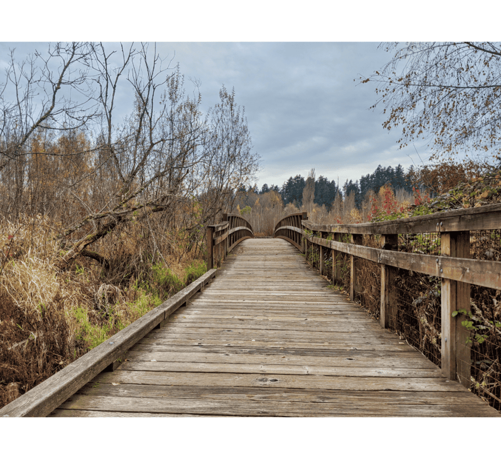 Mercer Slough Nature Park