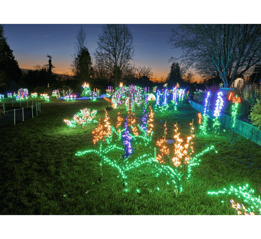Garden d'Lights
