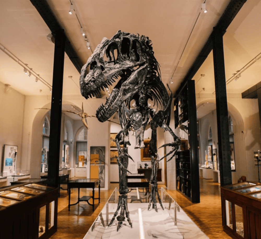 Lapworth Museum of Geology