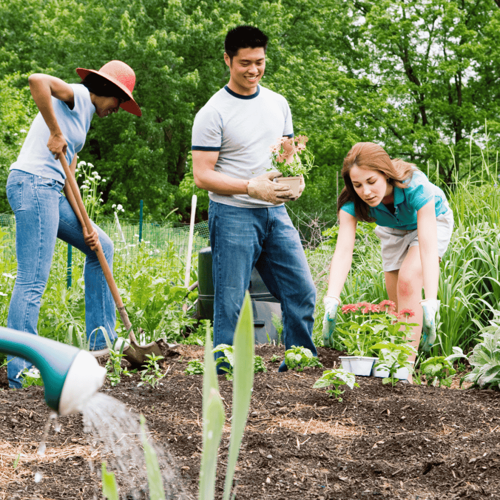 Boise Urban Garden School
