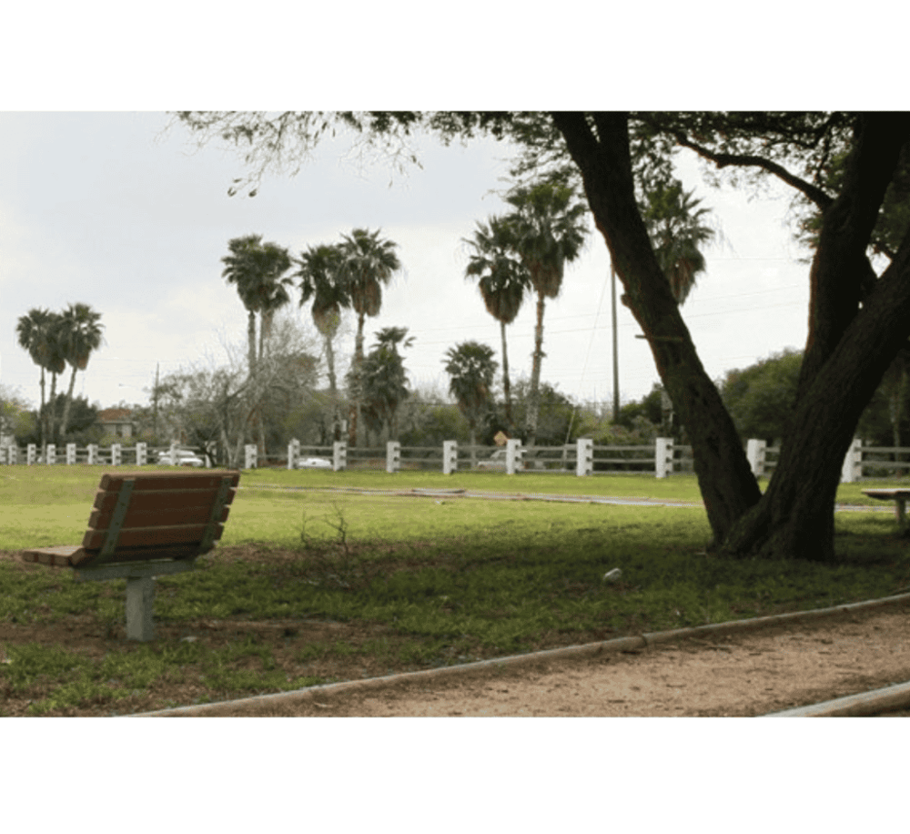 Resaca de la Palma Battlefield