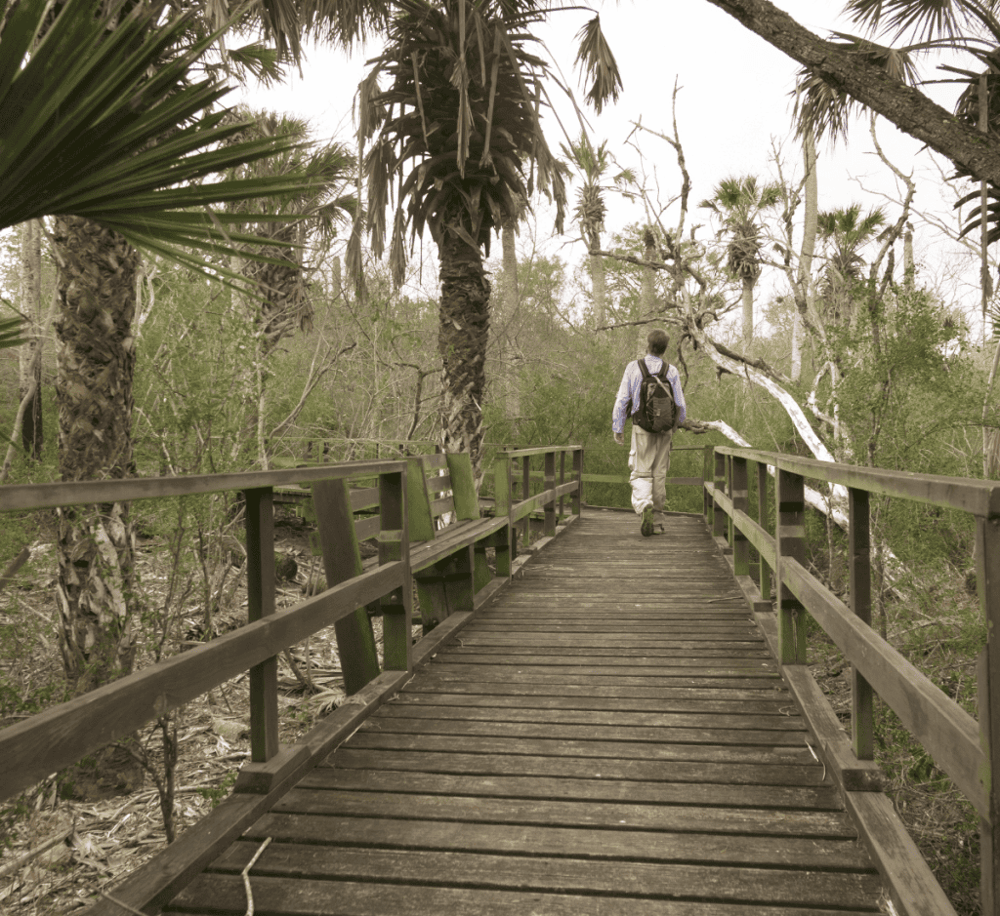 Sabal Palm Sanctuary
