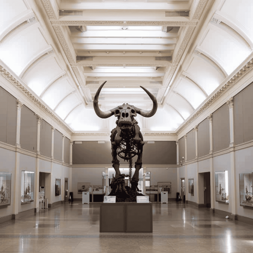 Buffalo Science Museum