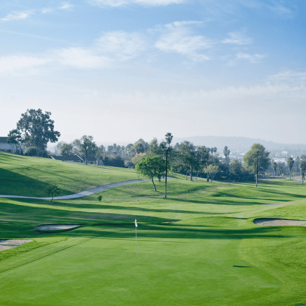 Palmetto-Pine Country Club