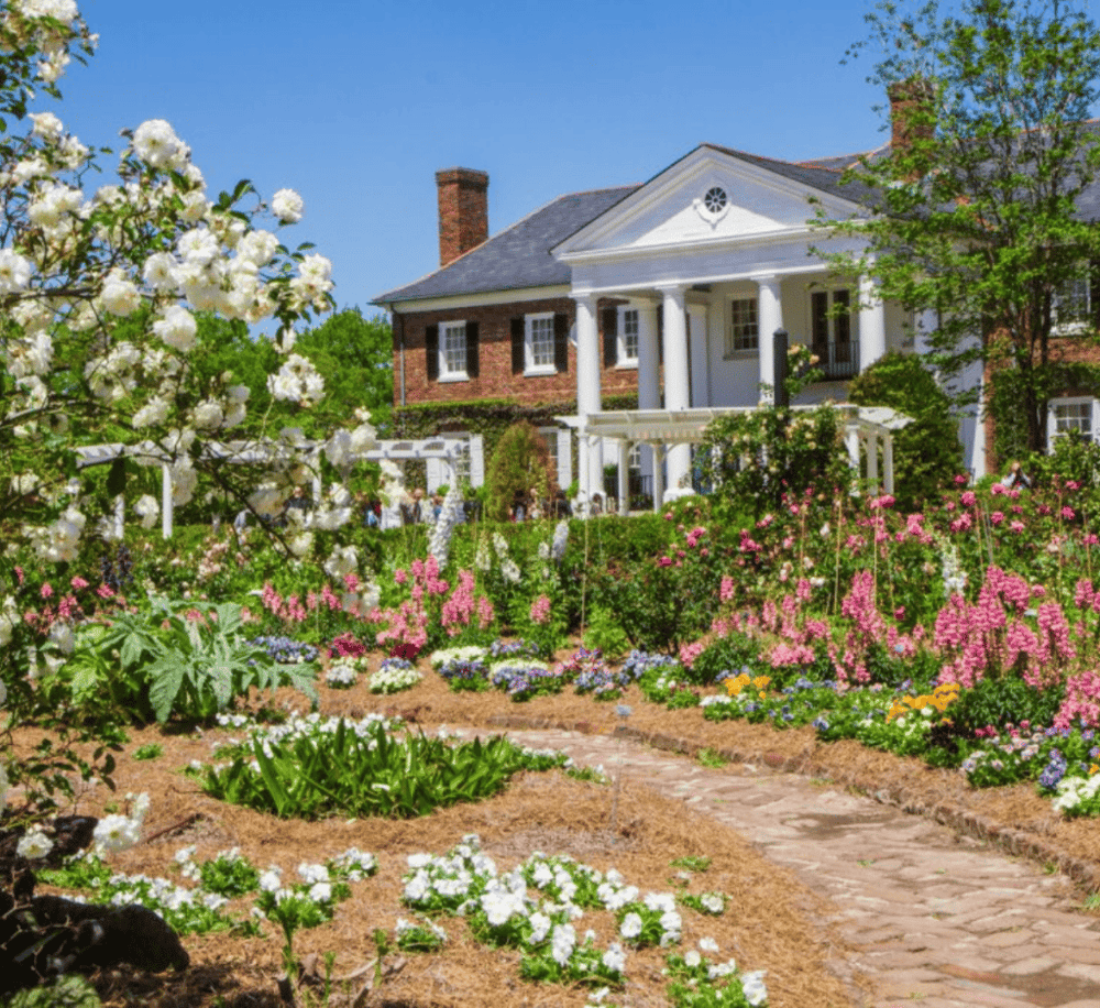 Boone Hall Plantation & Gardens