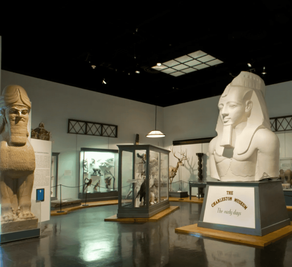 Charleston Museum