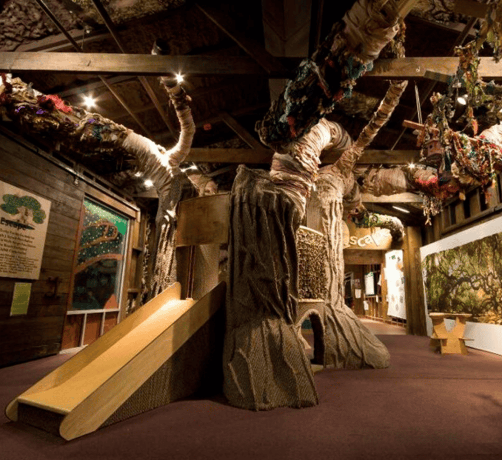 Children’s Museum of the Lowcountry