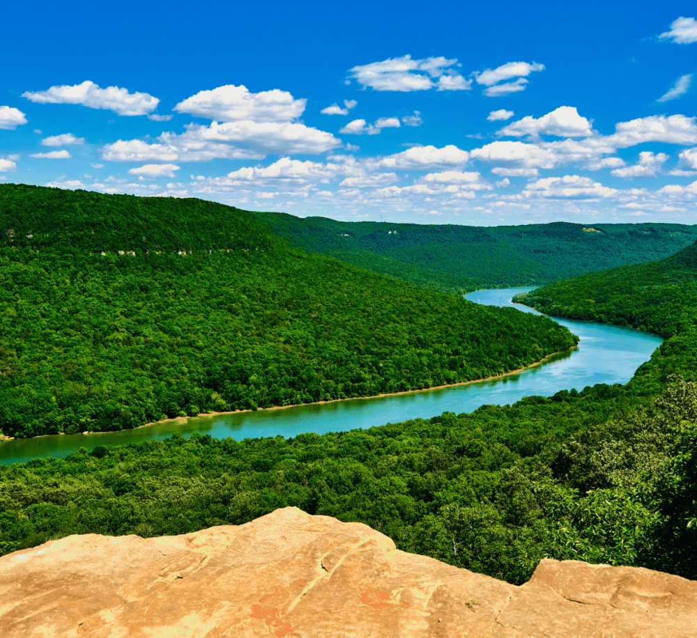 Prentice Cooper State Forest