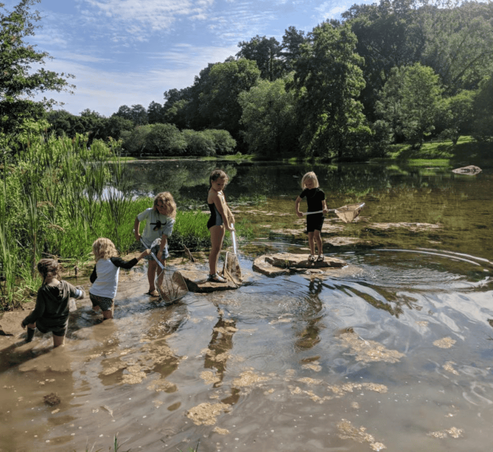 Reflection Riding Arboretum & Nature Center
