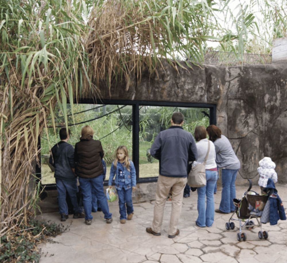 The Chattanooga Zoo at Warner Park