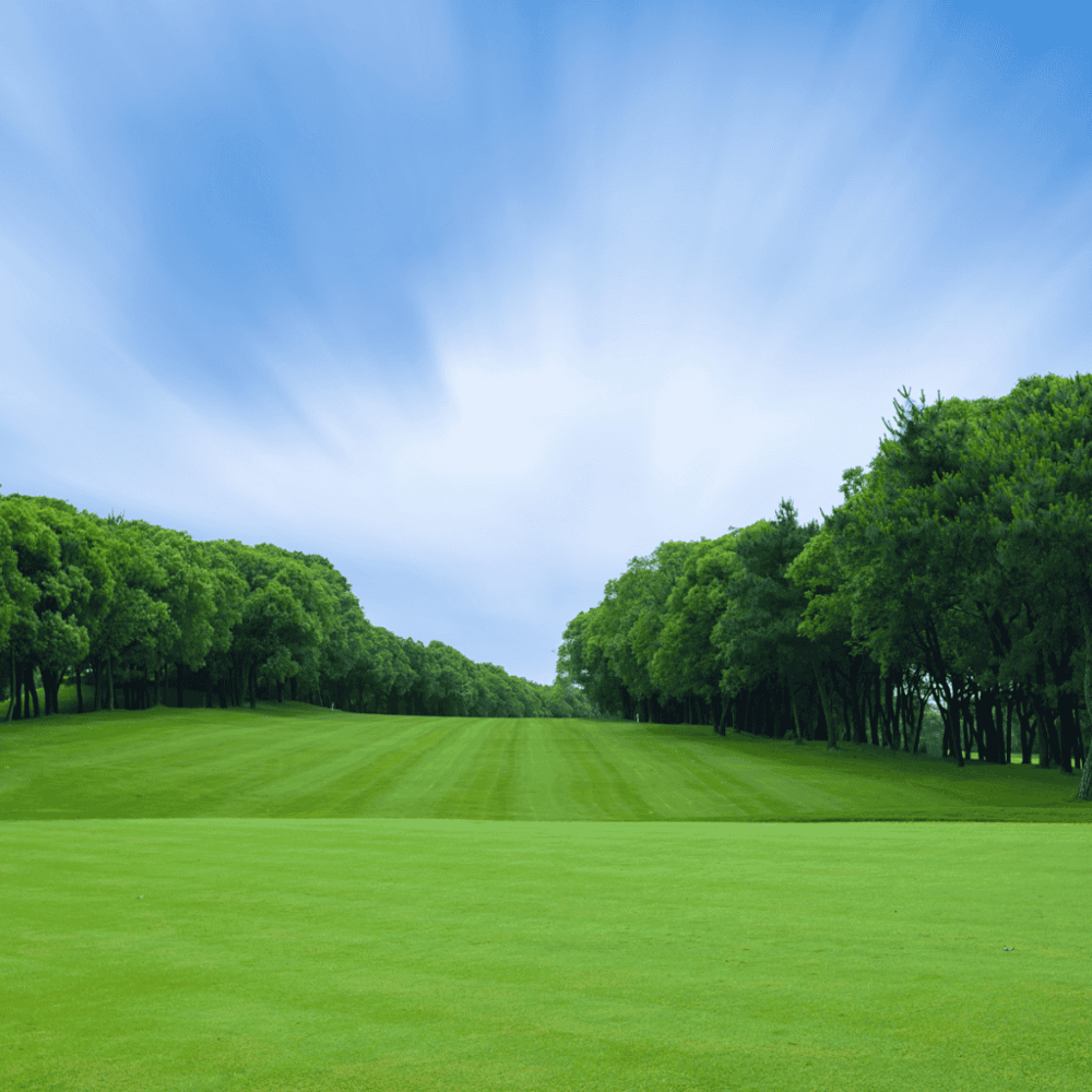 Chesapeake Golf Club