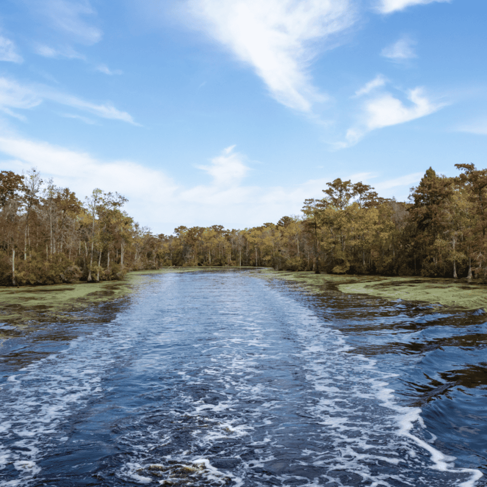 Dismal Swamp Canal