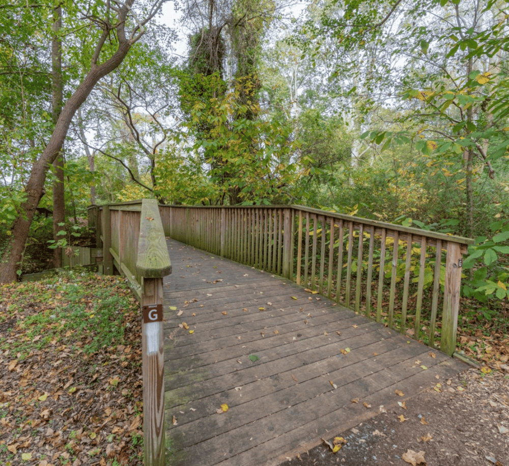 Chesapeake Arboretum