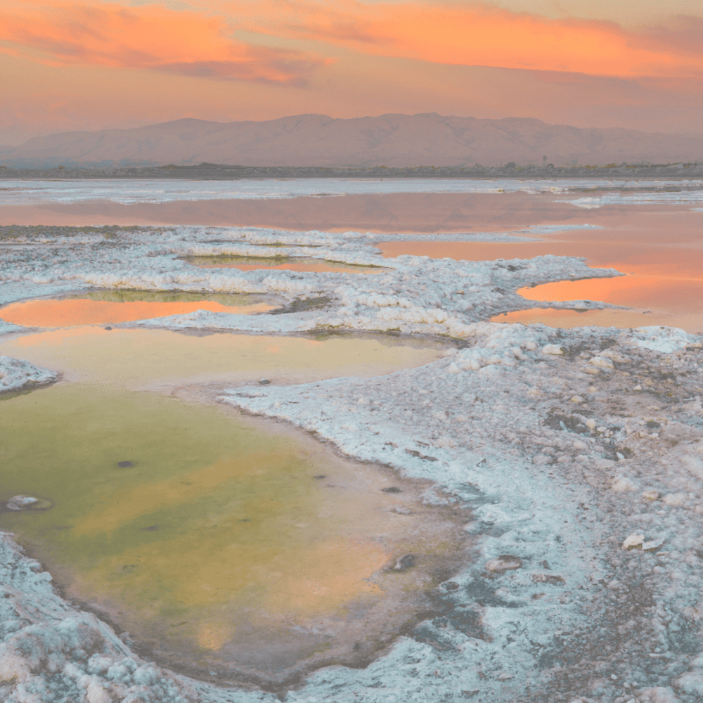 South Bay Salt Works
