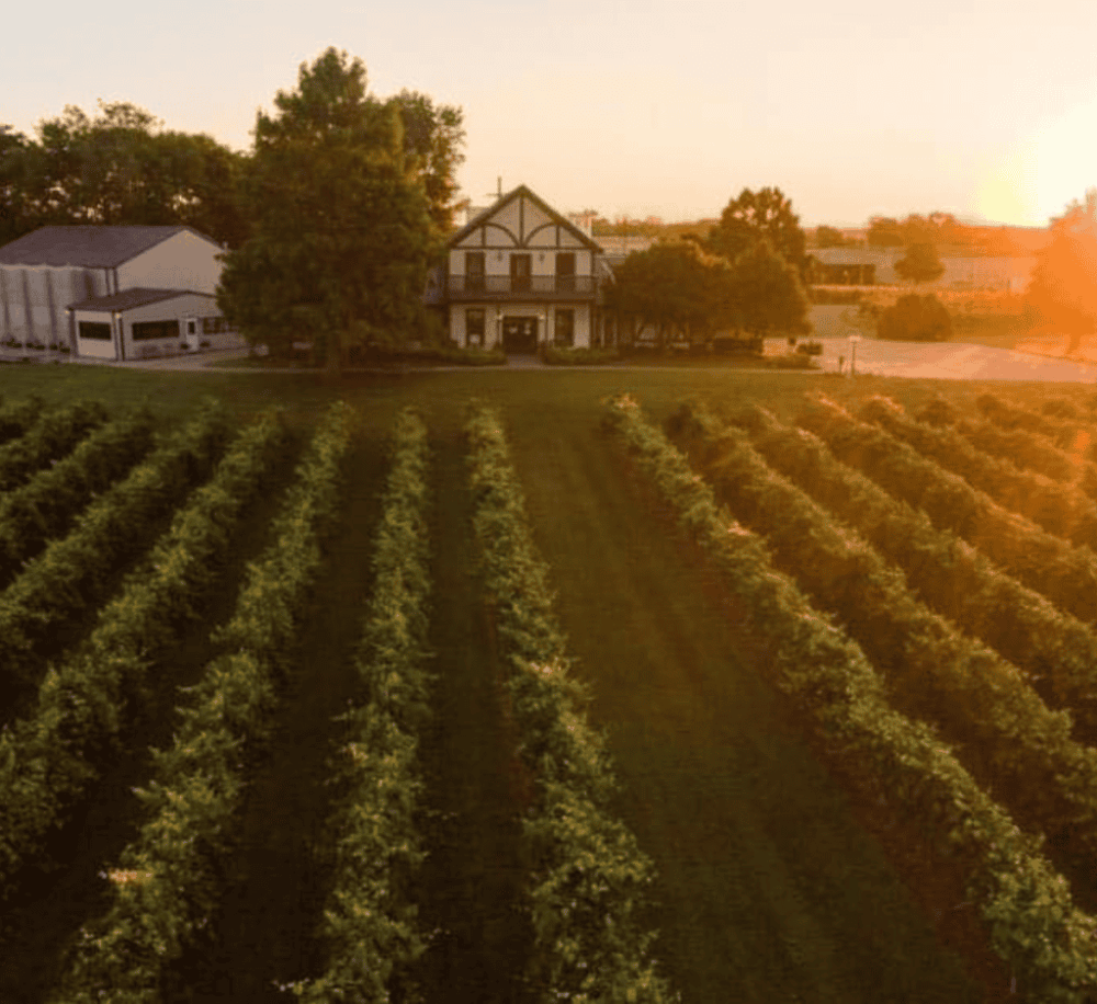 Beachaven Vineyards & Winery