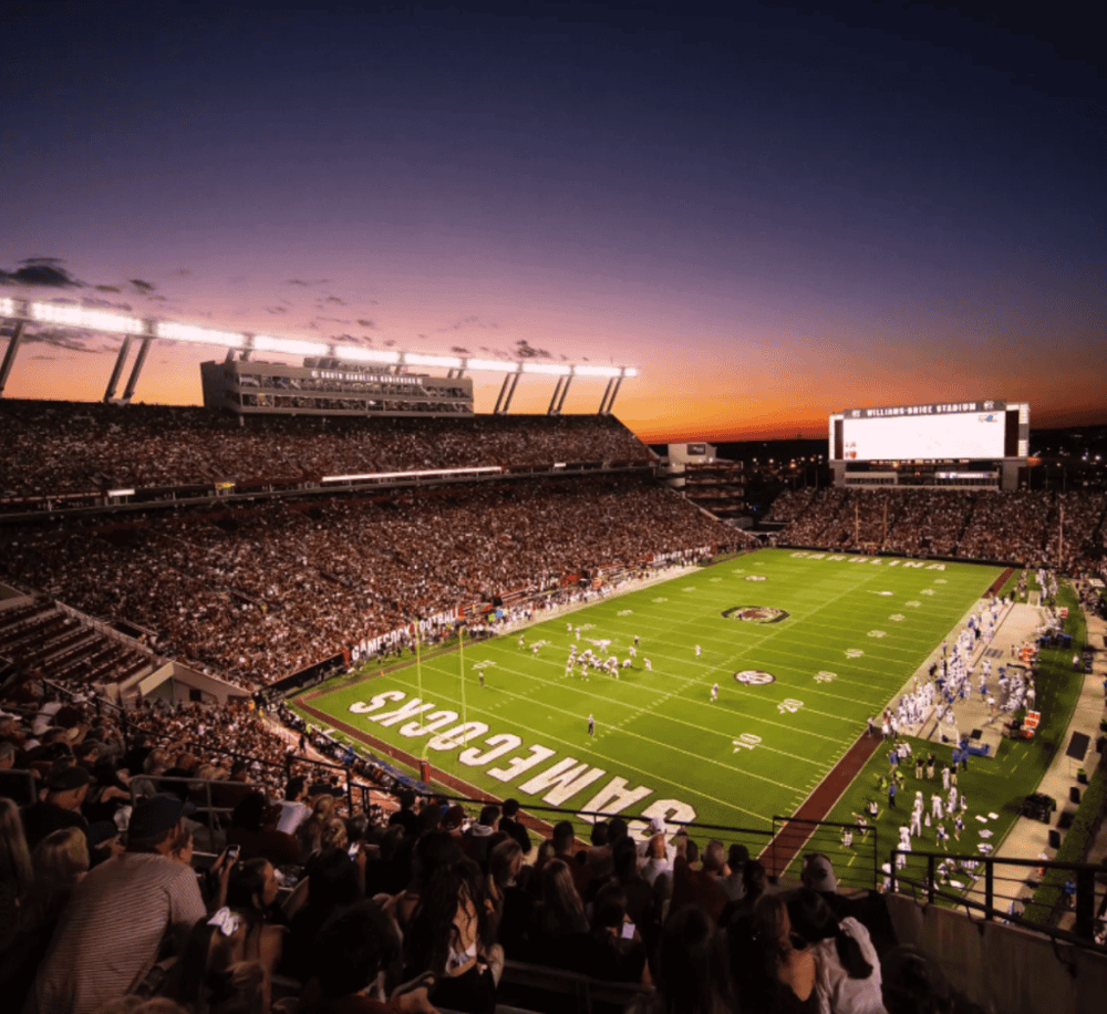 Williams-Brice Stadium