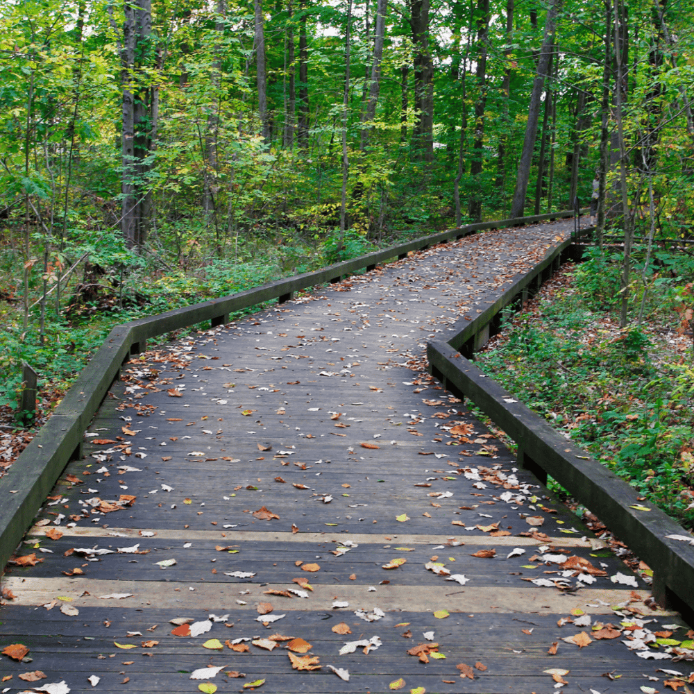 Inniswood Metro Gardens