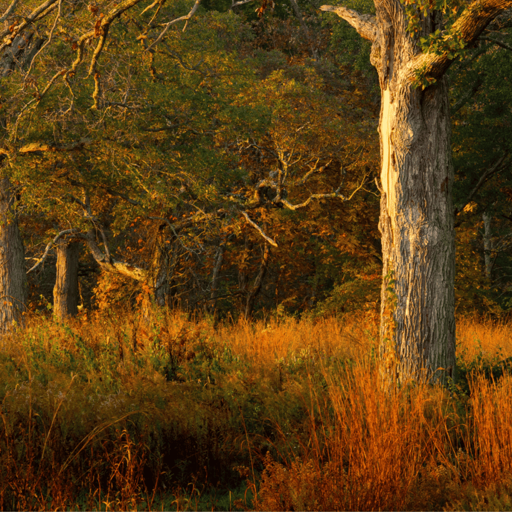 Battelle Darby Creek Metro Park