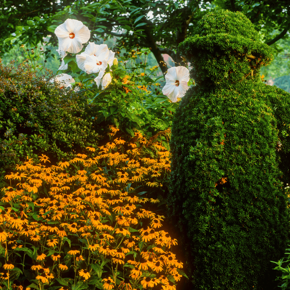 Topiary Park