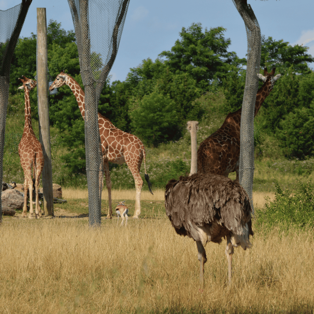 Columbus Zoo and Aquarium