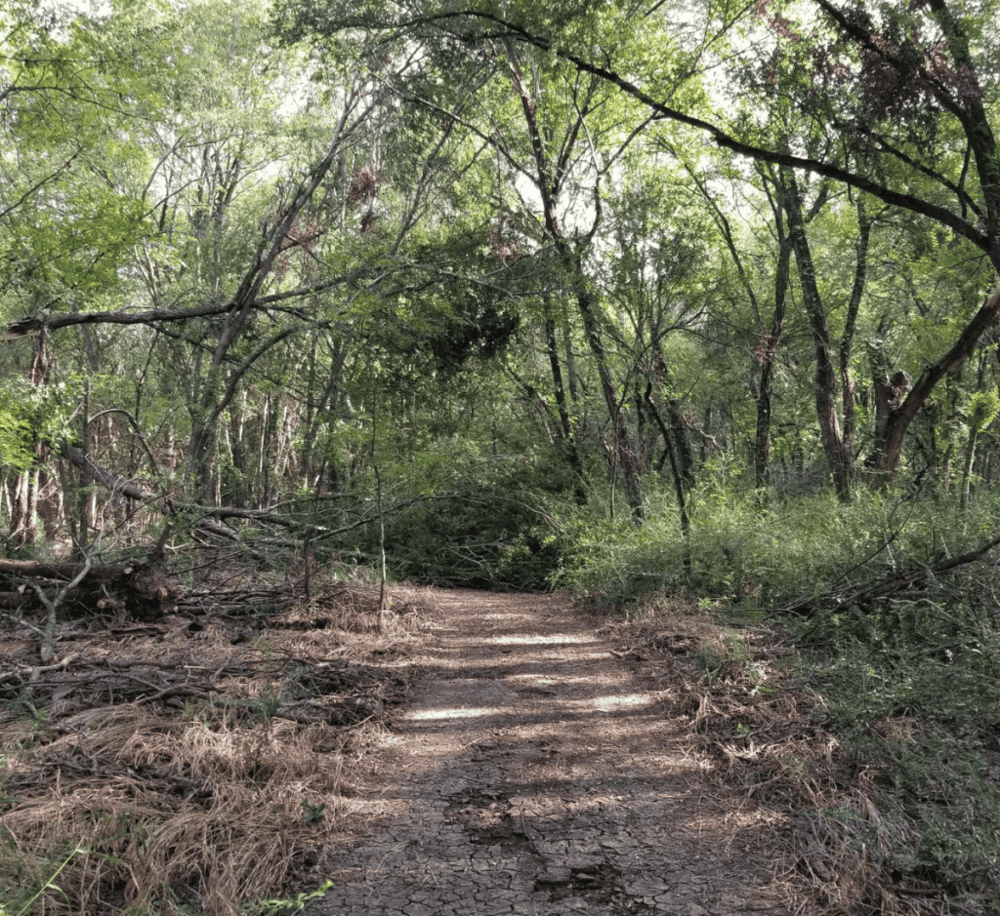 Clear Creek Natural Heritage Center