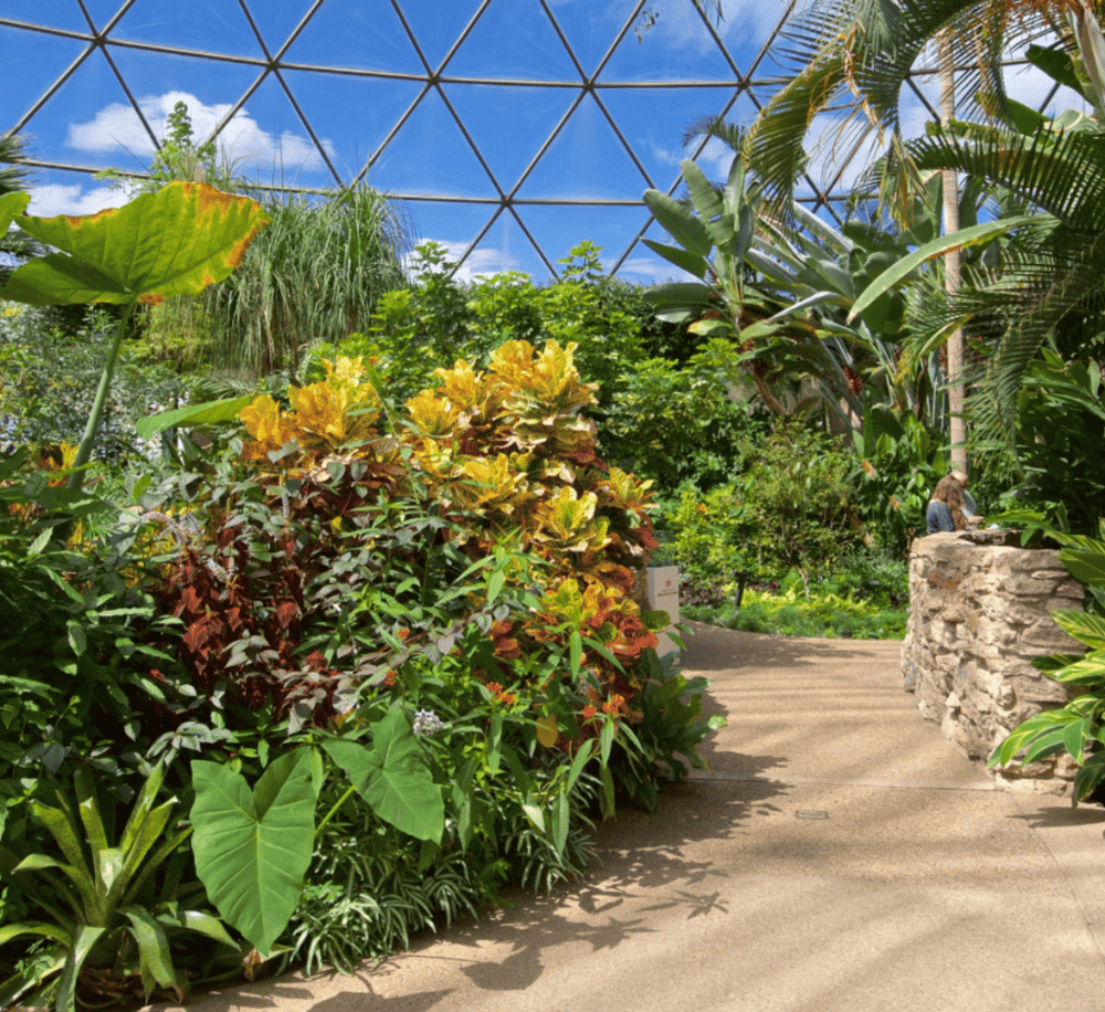 Greater Des Moines Botanical Garden