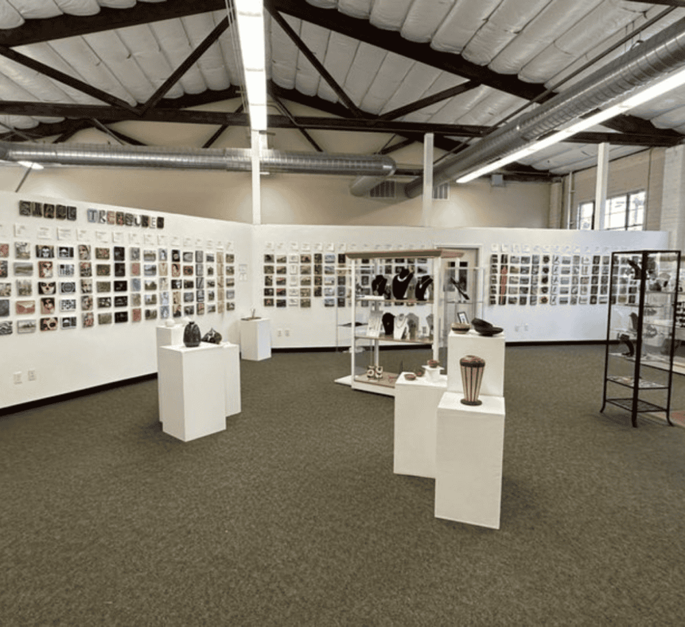 Elk Grove Fine Arts Center