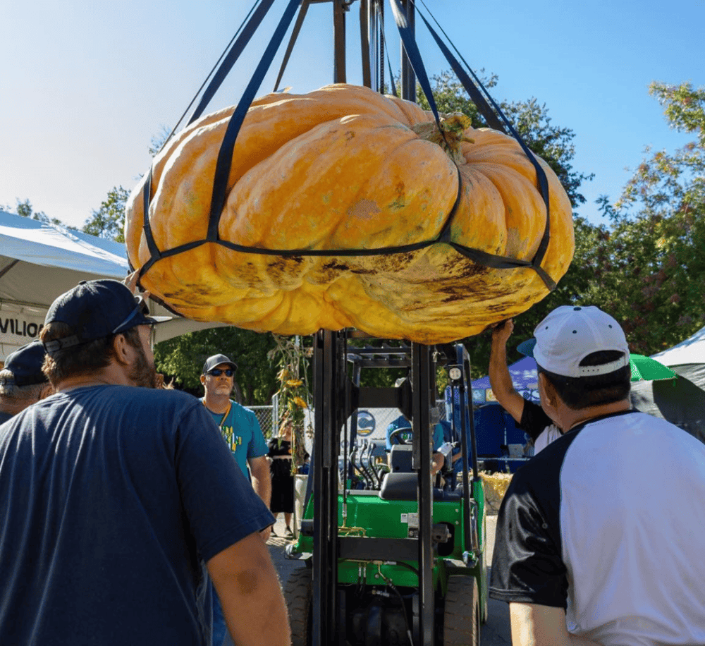 Elk Grove Giant Pumpkin Festival