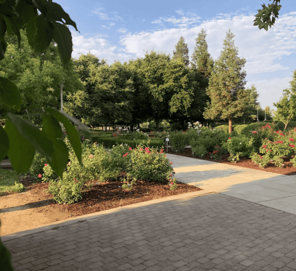 Bartholomew and Town Square Parks Loop