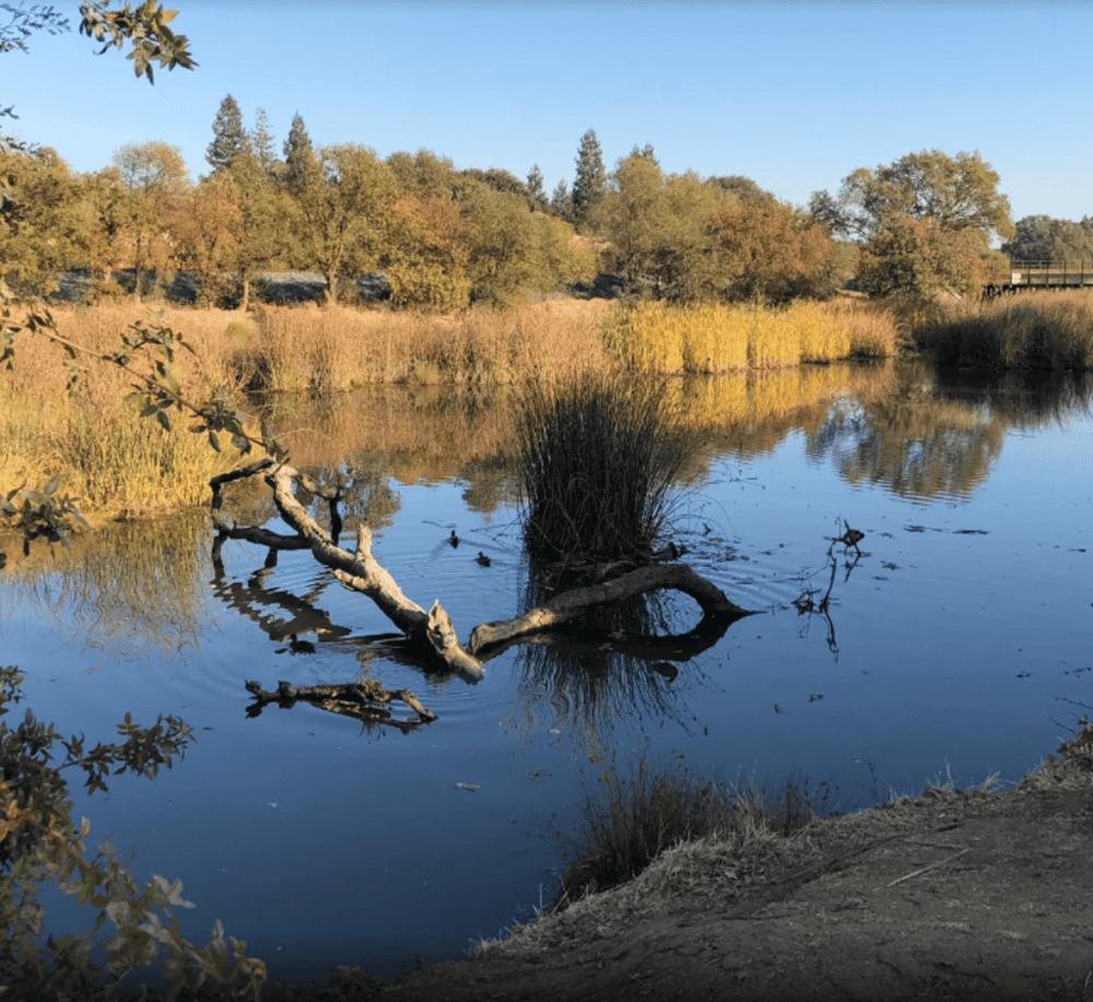 Camden Park Loop Trail