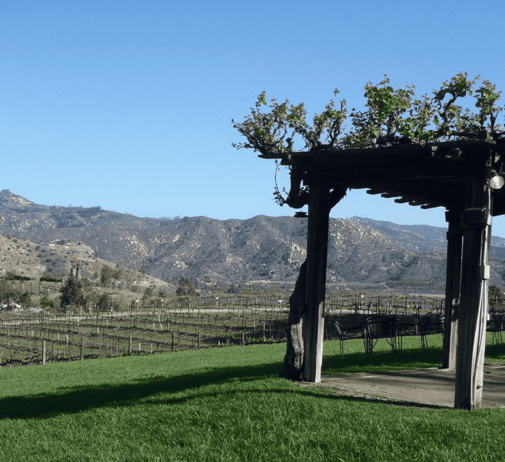Orfila Vineyards & Winery