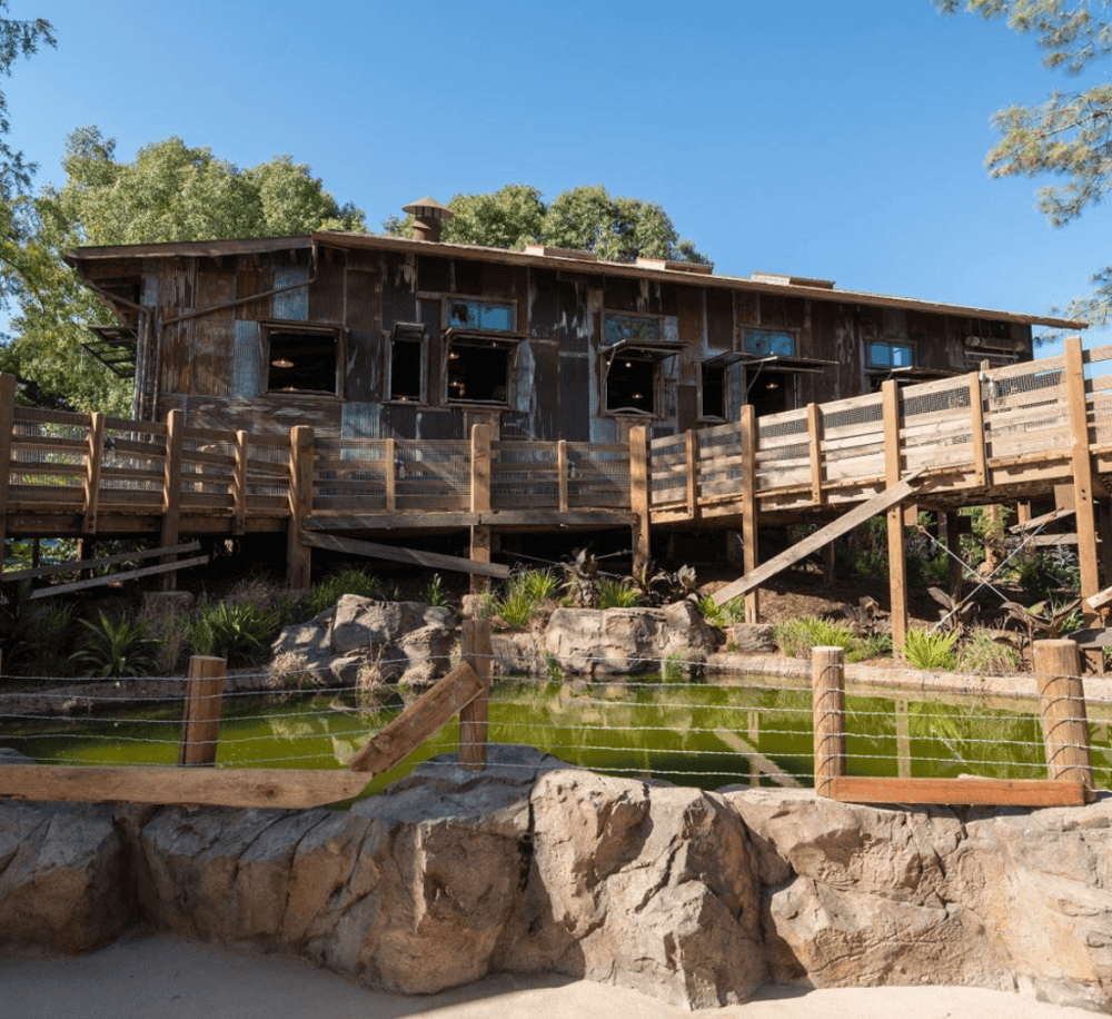 Walkabout Australia at San Diego Zoo Safari Park