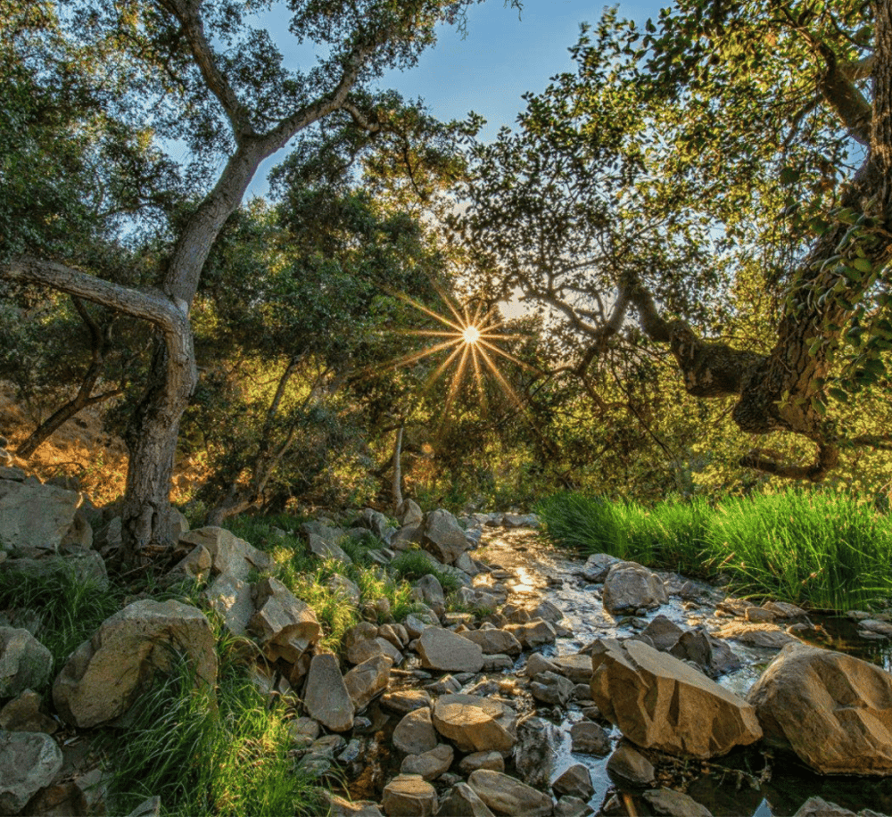 Elfin Forest Recreational Reserve
