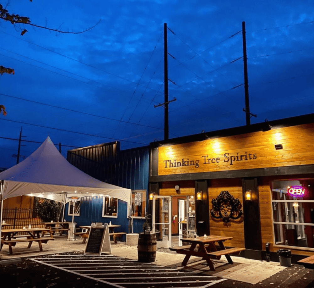 Thinking Tree Spirits