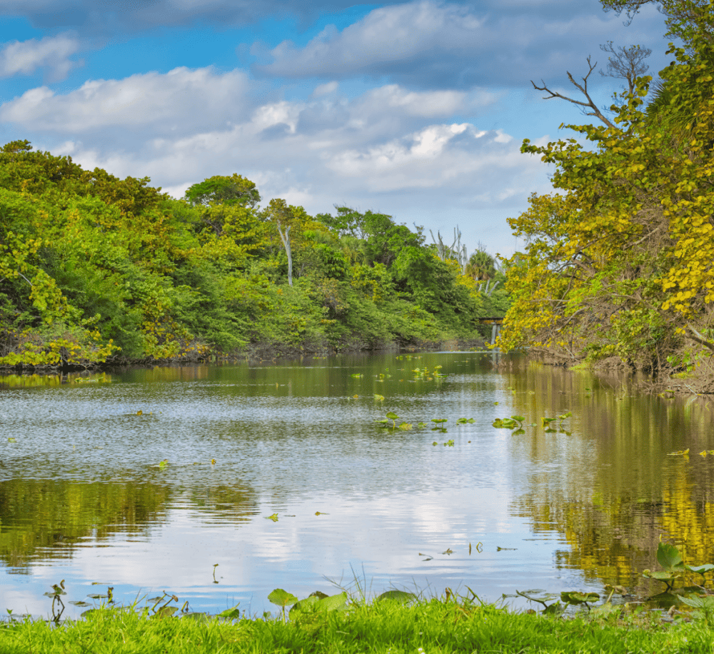 Hugh Taylor Birch State Park
