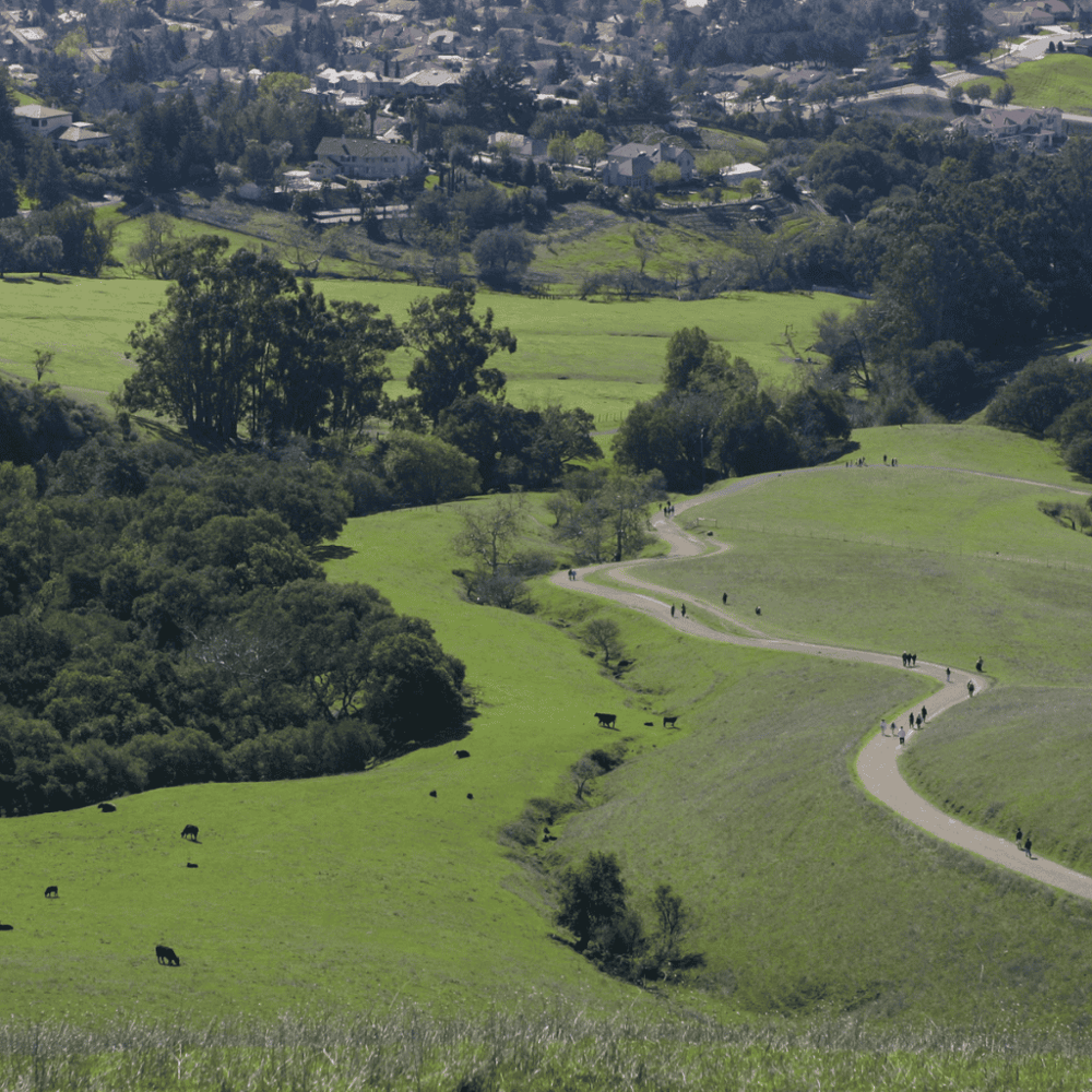 Mission Peak Regional Preserve