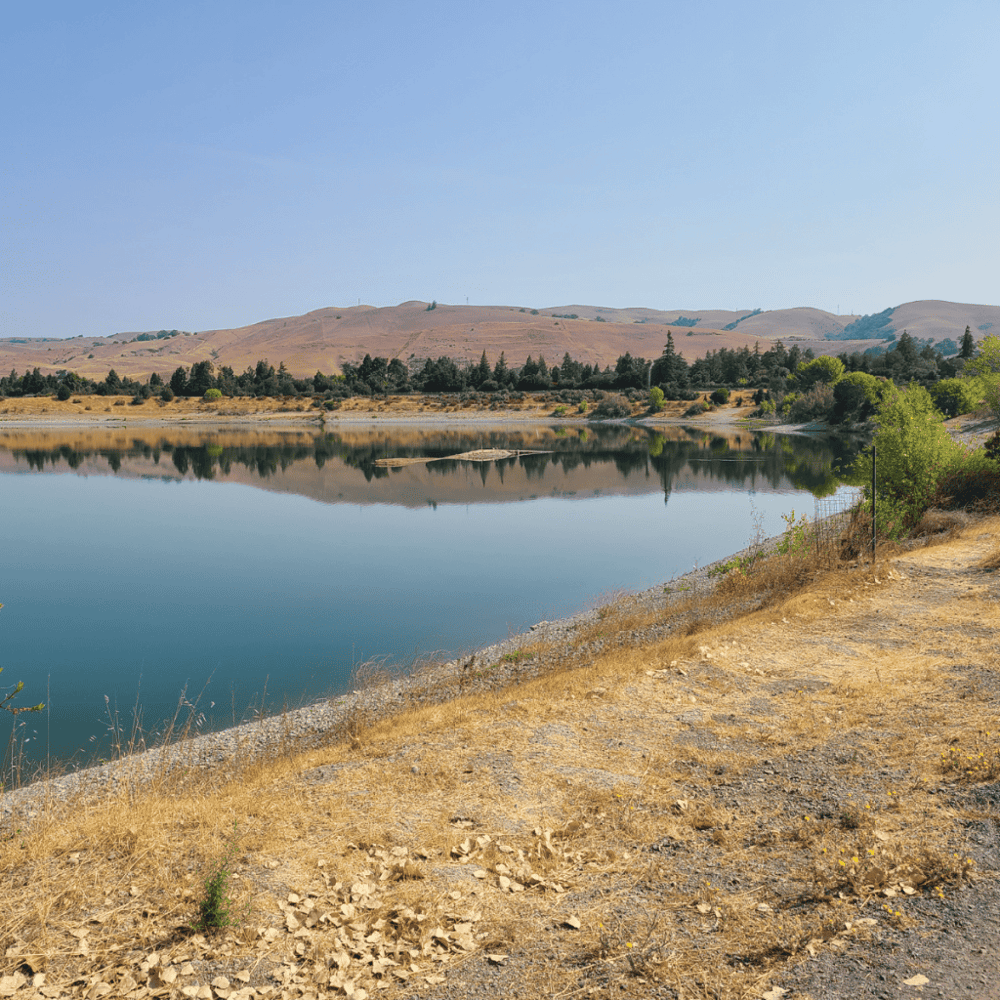 Quarry Lakes Regional Recreation Area