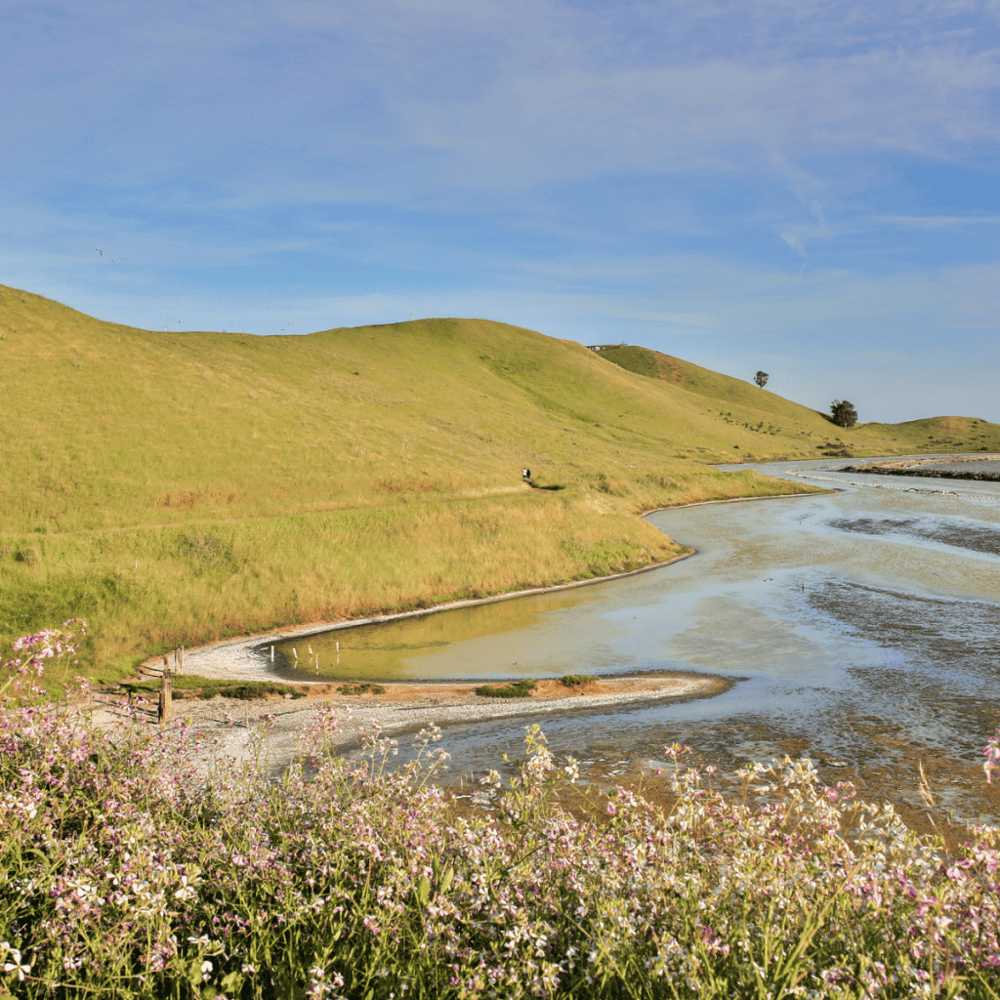 Coyote Hills Regional Park