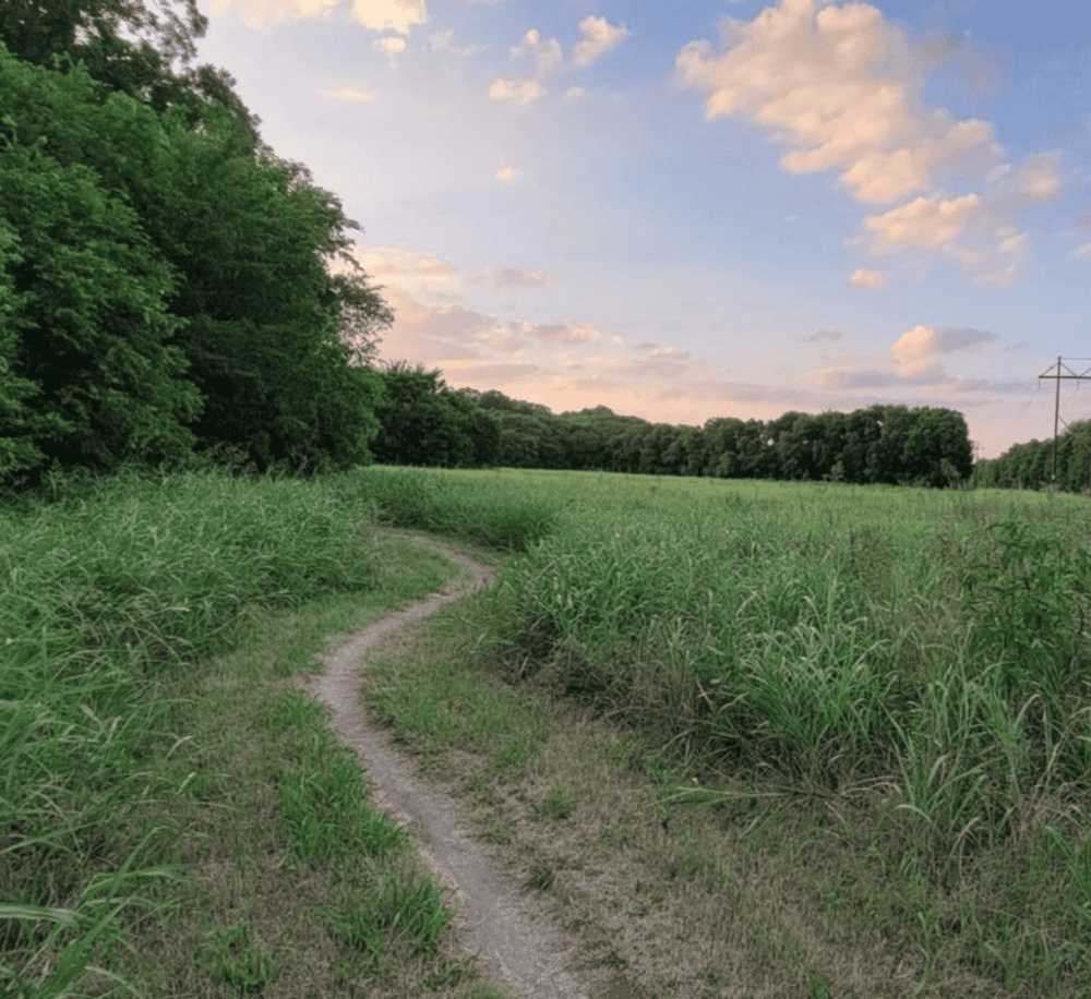 Rowlett Creek Preserve