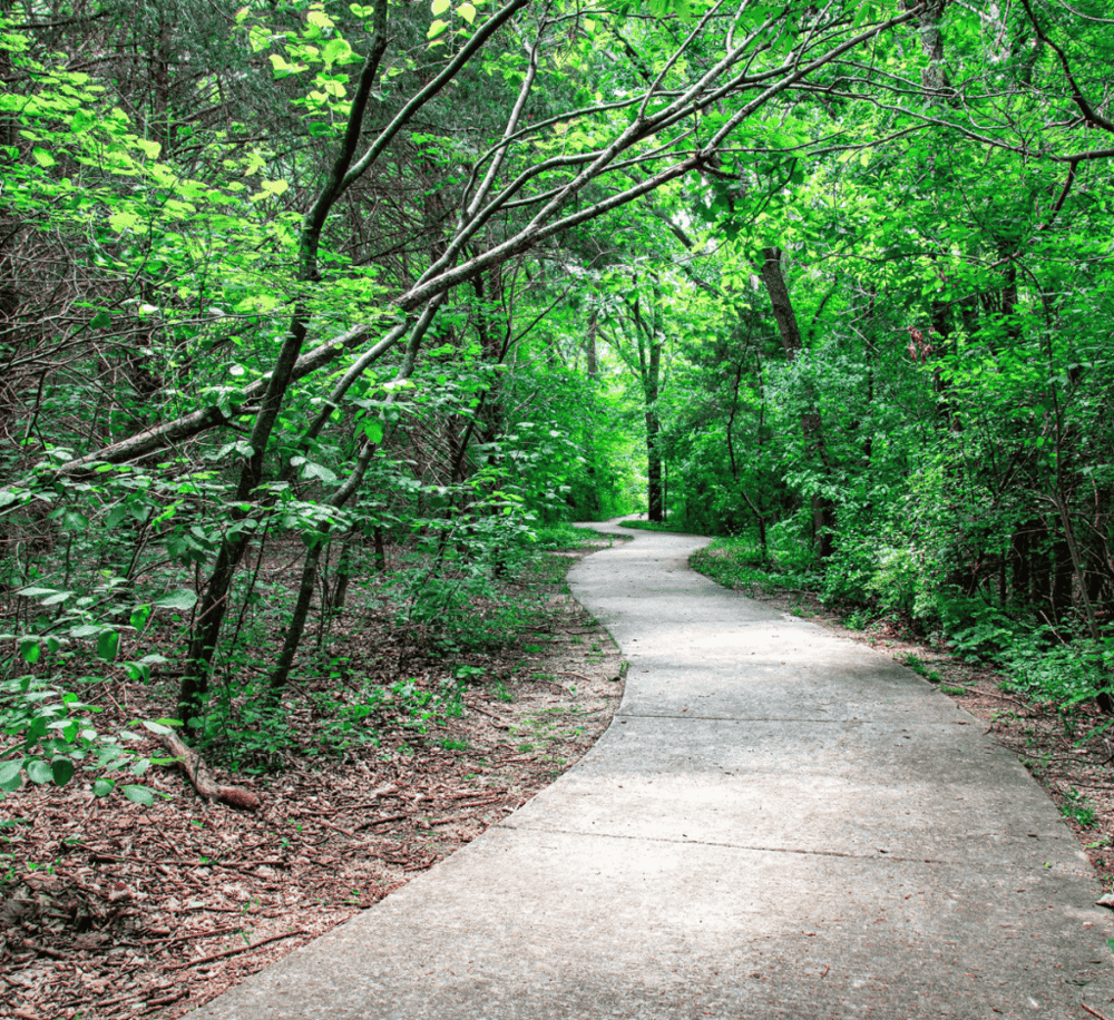 Spring Creek Forest Preserve
