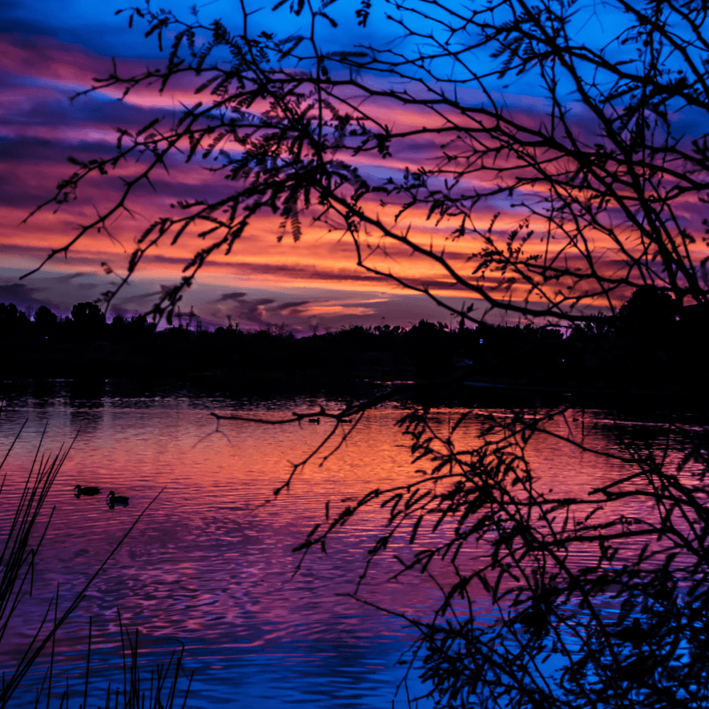 Riparian Preserve at Water Ranch