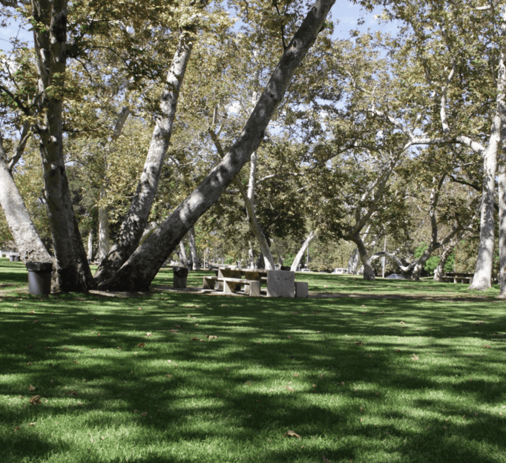 Verdugo Park