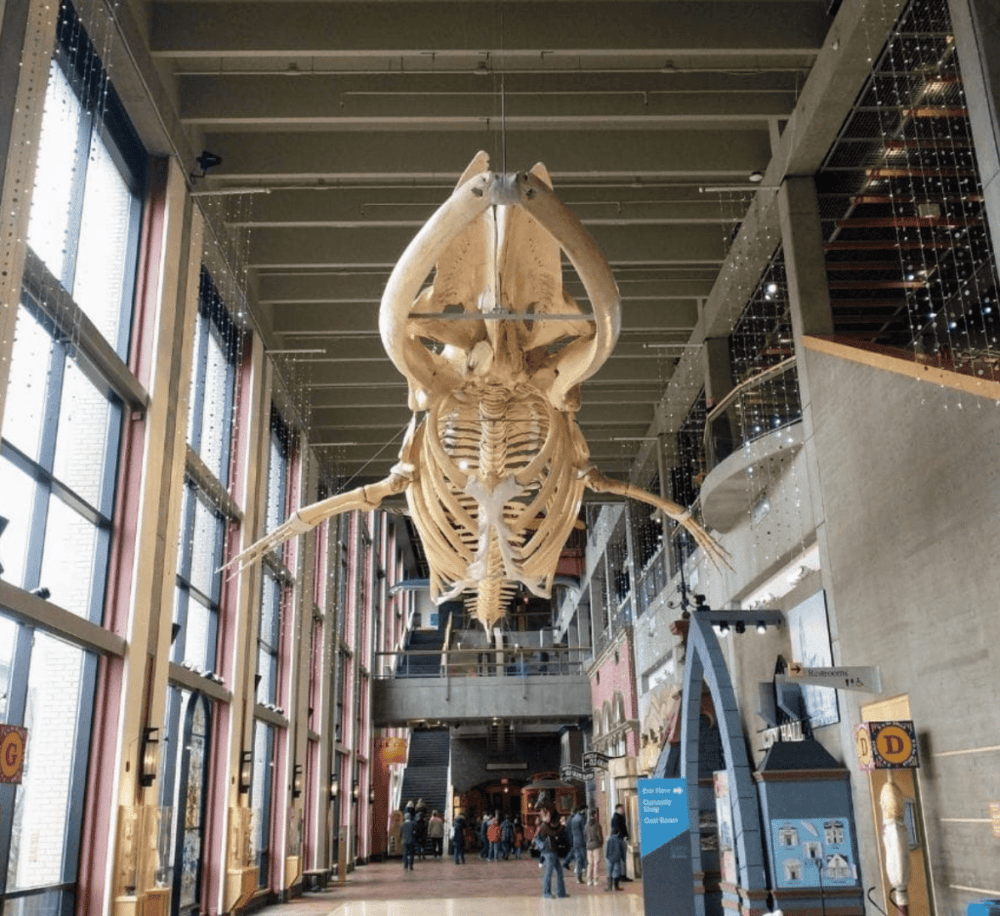 Grand Rapids Public Museum