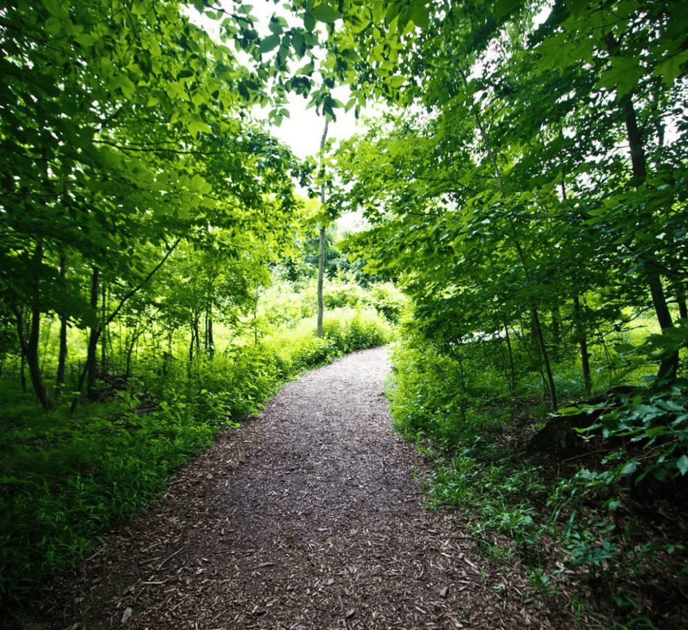 Blandford Nature Center