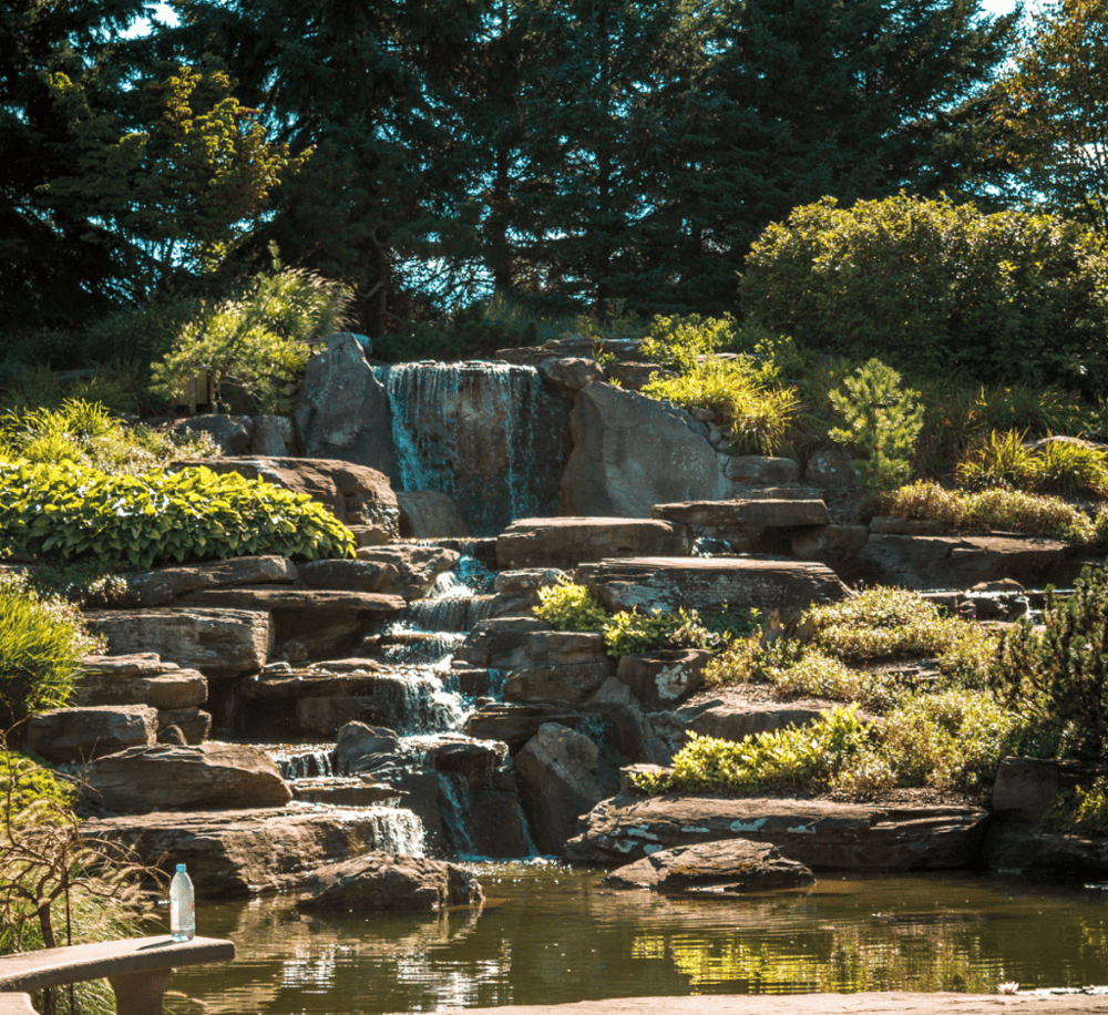 Frederik Meijer Gardens & Sculpture Park