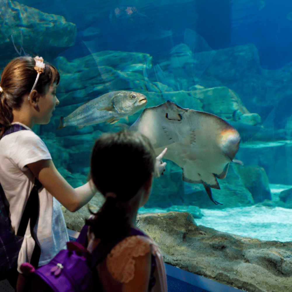 Greensboro Science Center