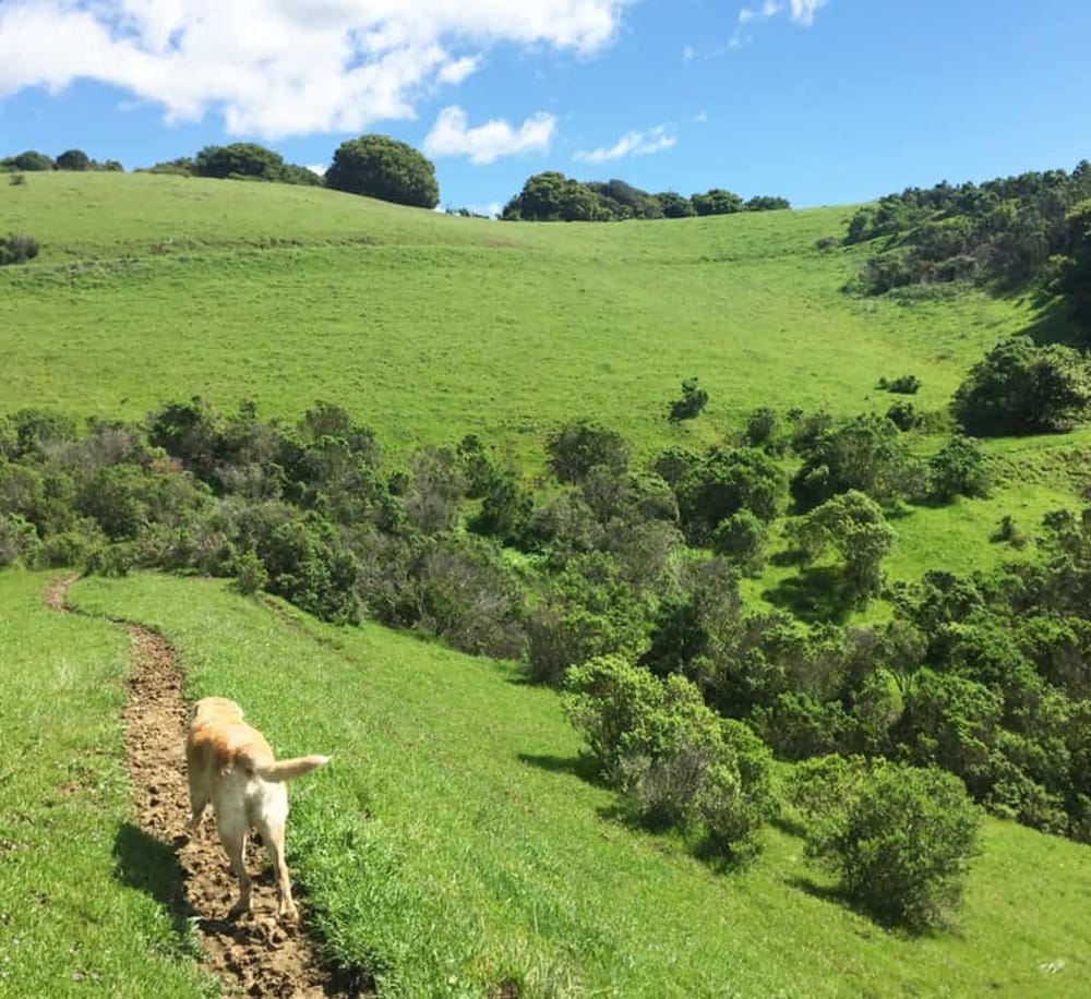 Five Canyons Open Space