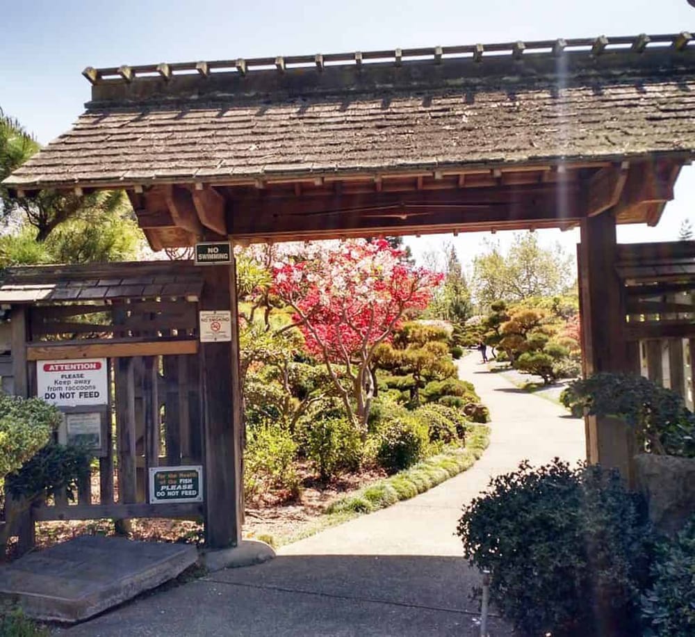 Hayward Japanese Gardens